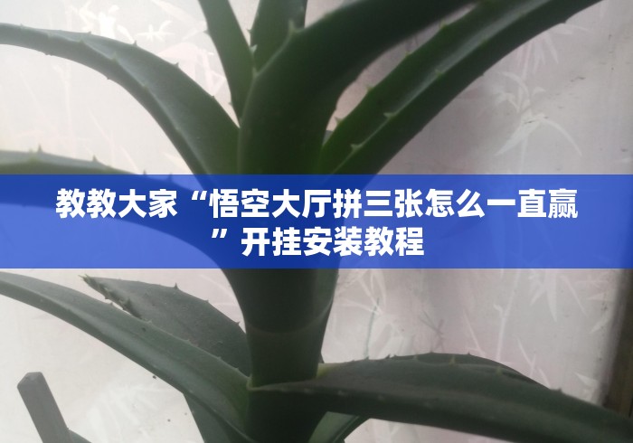 房卡必备教程“
蝴蝶大厅房卡链接“房卡获取方式 