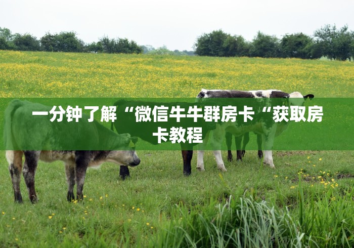 一分钟了解“微信牛牛群房卡“获取房卡教程