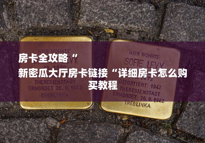 房卡全攻略“
新密瓜大厅房卡链接“详细房卡怎么购买教程