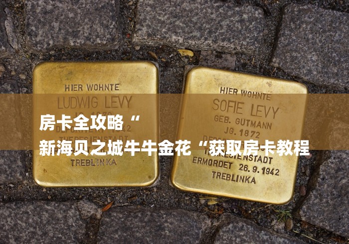房卡全攻略“
新海贝之城牛牛金花“获取房卡教程