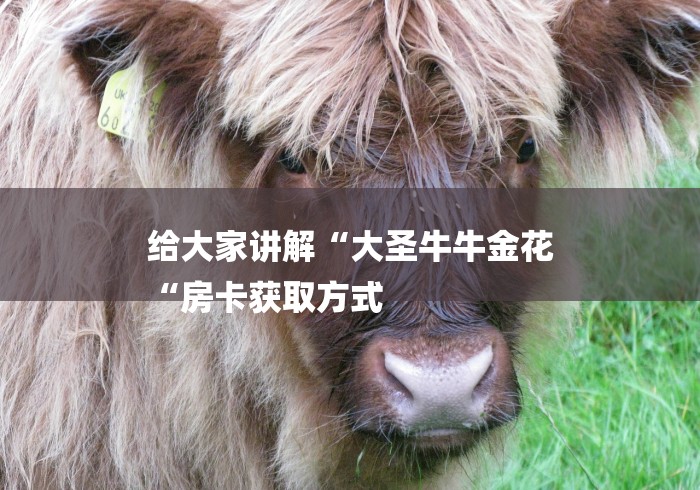 给大家讲解“大圣牛牛金花
“房卡获取方式 给大家讲解“大圣牛牛金花
“房卡获取方式