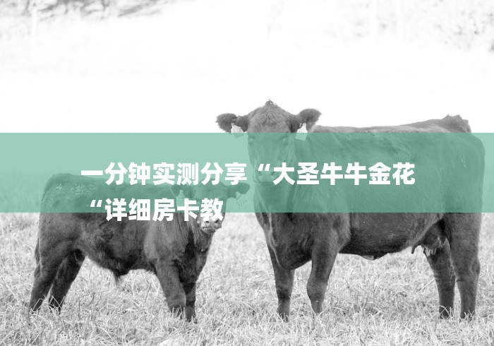 一分钟实测分享“大圣牛牛金花
“详细房卡教