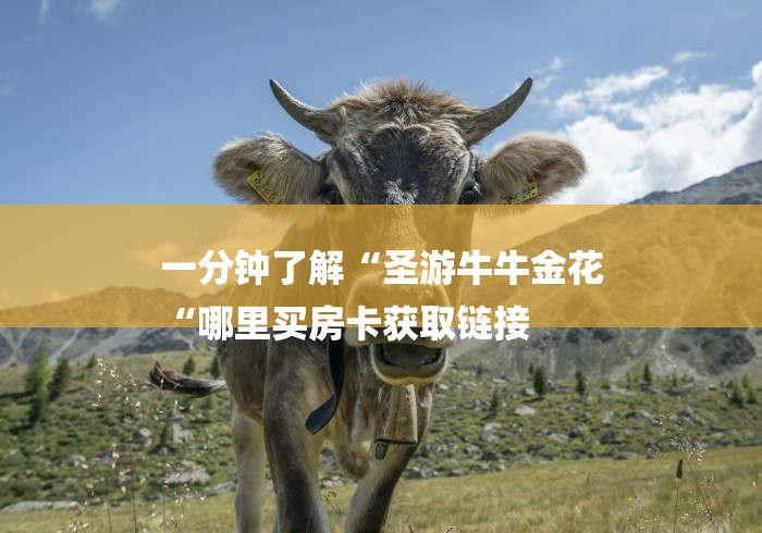 一分钟了解“圣游牛牛金花
“哪里买房卡获取链接 一分钟了解“圣游牛牛金花
“哪里买房卡获取链接