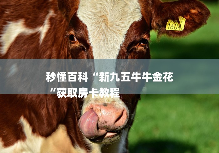 秒懂百科“新九五牛牛金花
“获取房卡教程
