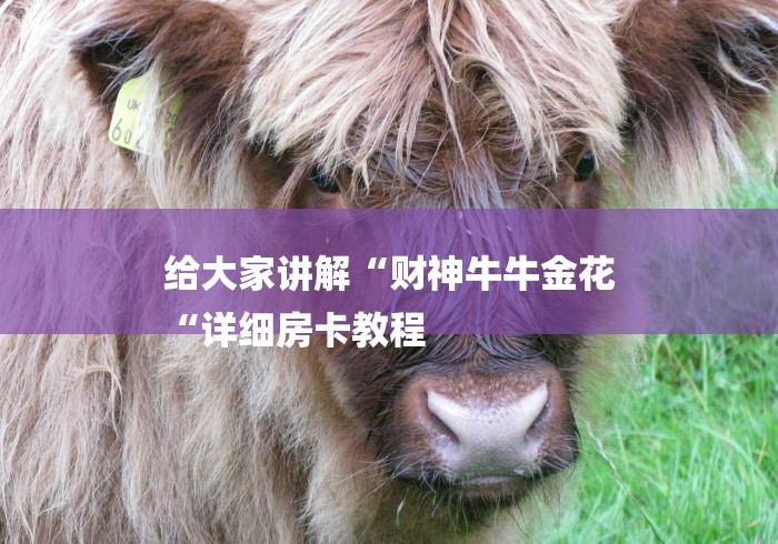 给大家讲解“财神牛牛金花
“详细房卡教程