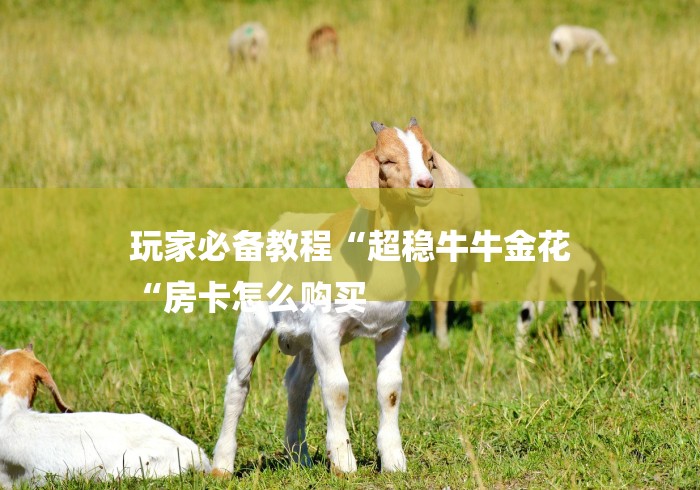 玩家必备教程“超稳牛牛金花
“房卡怎么购买 玩家必备教程“超稳牛牛金花
“房卡怎么购买