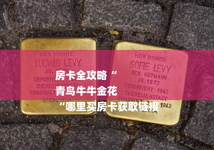 房卡全攻略“
青鸟牛牛金花
“哪里买房卡获取链接