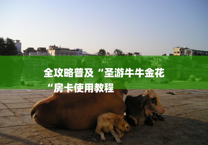 全攻略普及“圣游牛牛金花
“房卡使用教程 全攻略普及“圣游牛牛金花
“房卡使用教程