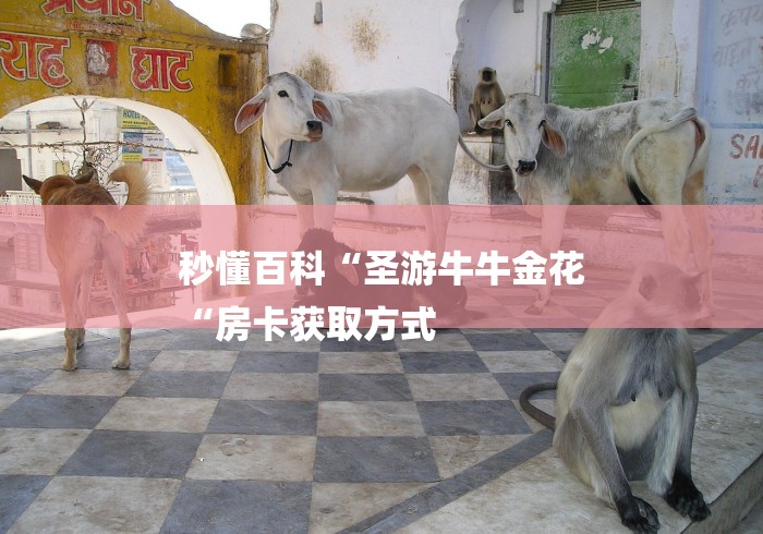 秒懂百科“圣游牛牛金花
“房卡获取方式 