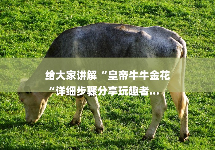 给大家讲解“皇帝牛牛金花
“详细步骤分享玩趣者...