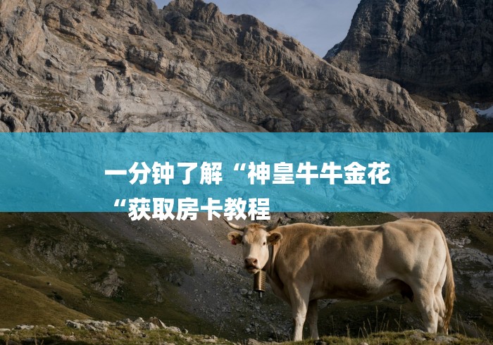 一分钟了解“神皇牛牛金花
“获取房卡教程