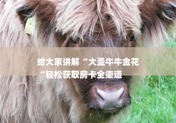 给大家讲解“大圣牛牛金花
“轻松获取房卡全渠道 给大家讲解“大圣牛牛金花
“轻松获取房卡全渠道