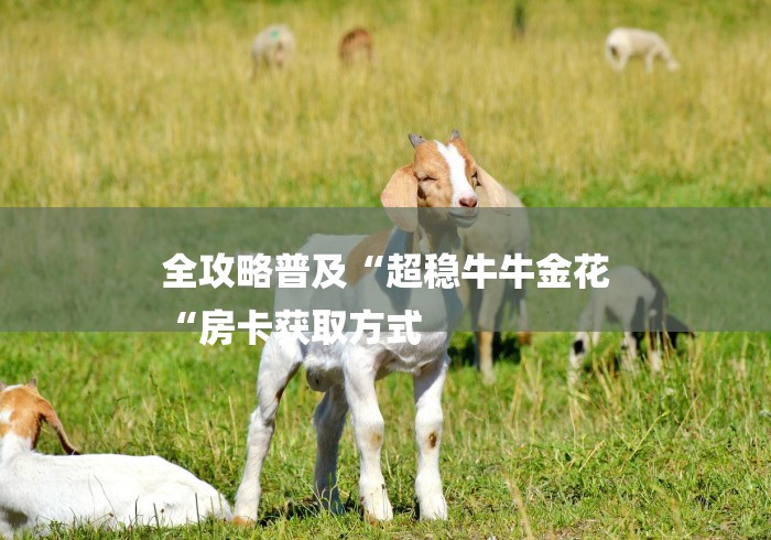 全攻略普及“超稳牛牛金花
“房卡获取方式 全攻略普及“超稳牛牛金花
“房卡获取方式