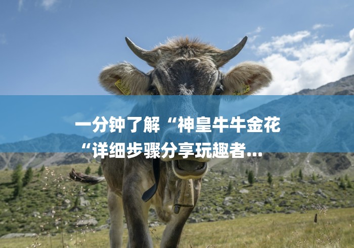 一分钟了解“神皇牛牛金花
“详细步骤分享玩趣者...