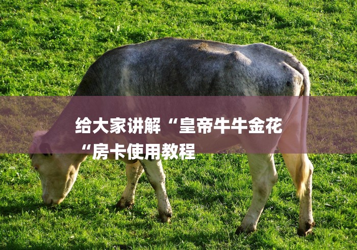 给大家讲解“皇帝牛牛金花
“房卡使用教程 给大家讲解“皇帝牛牛金花
“房卡使用教程