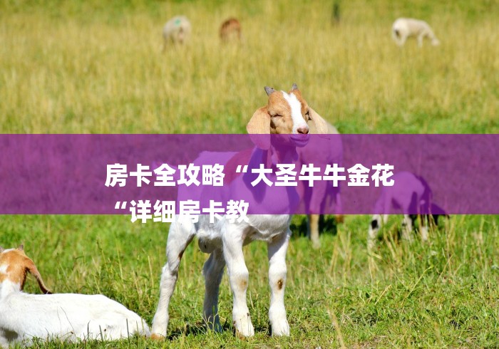 房卡全攻略“大圣牛牛金花
“详细房卡教 房卡全攻略“大圣牛牛金花
“详细房卡教