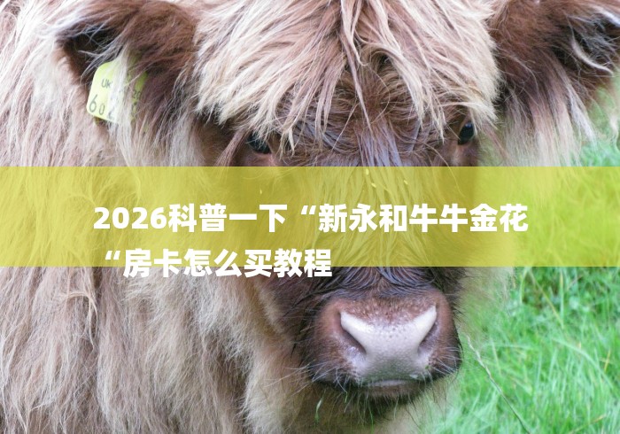 2026科普一下“新永和牛牛金花
“房卡怎么买教程 2026科普一下“新永和牛牛金花
“房卡怎么买教程