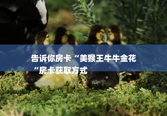 告诉你房卡“美猴王牛牛金花
“房卡获取方式 