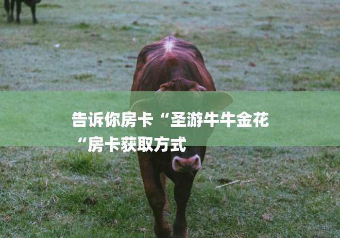 告诉你房卡“圣游牛牛金花
“房卡获取方式 