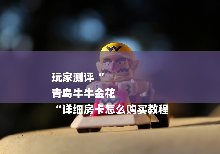 玩家测评“
青鸟牛牛金花
“详细房卡怎么购买教程