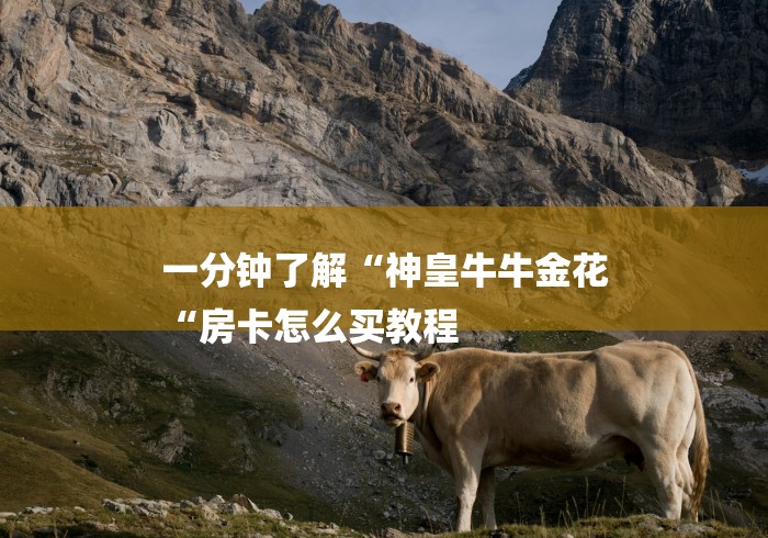 一分钟了解“神皇牛牛金花
“房卡怎么买教程 一分钟了解“神皇牛牛金花
“房卡怎么买教程