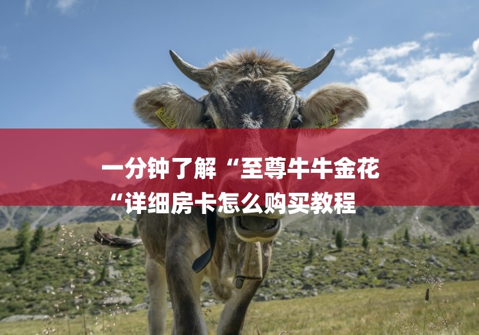 一分钟了解“至尊牛牛金花
“详细房卡怎么购买教程