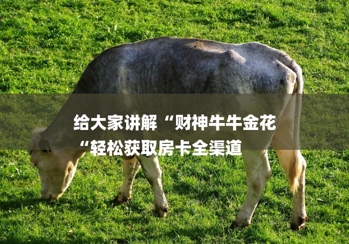 给大家讲解“财神牛牛金花
“轻松获取房卡全渠道