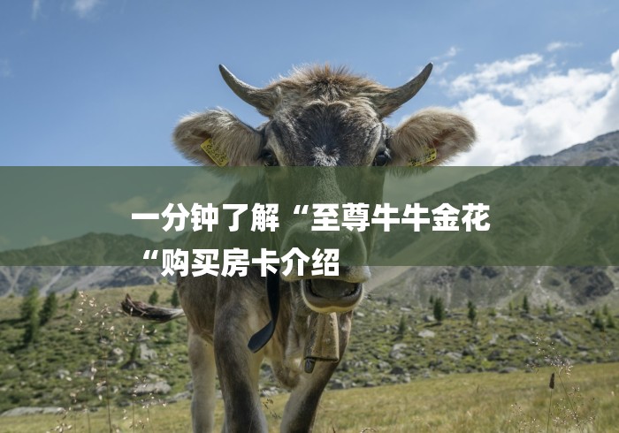 一分钟了解“至尊牛牛金花
“购买房卡介绍