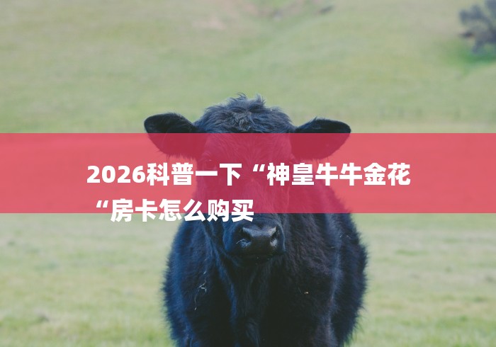 2026科普一下“神皇牛牛金花
“房卡怎么购买