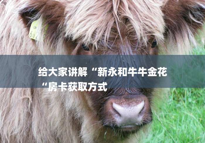 给大家讲解“新永和牛牛金花
“房卡获取方式 