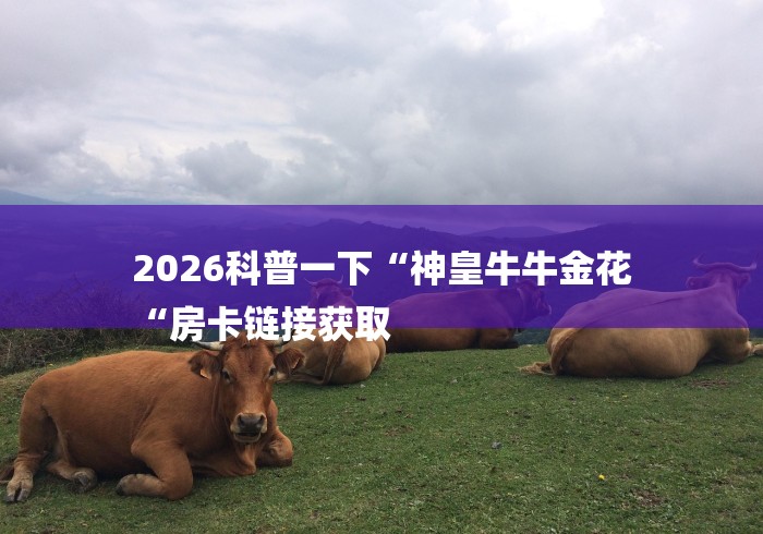 2026科普一下“神皇牛牛金花
“房卡链接获取 2026科普一下“神皇牛牛金花
“房卡链接获取