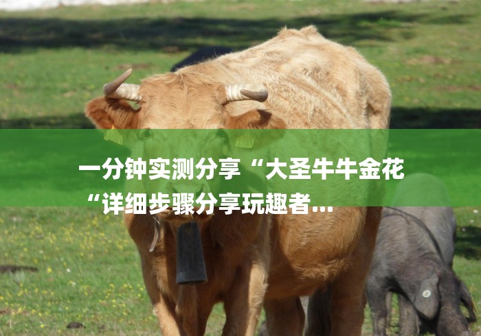 一分钟实测分享“大圣牛牛金花
“详细步骤分享玩趣者... 一分钟实测分享“大圣牛牛金花
“详细步骤分享玩趣者...