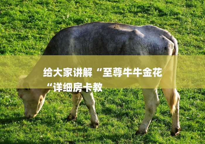 给大家讲解“至尊牛牛金花
“详细房卡教