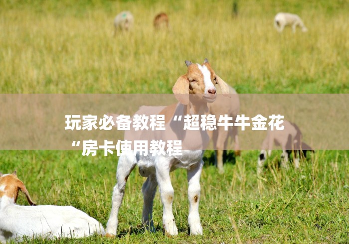 玩家必备教程“超稳牛牛金花
“房卡使用教程