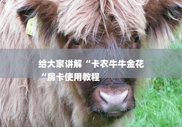 给大家讲解“卡农牛牛金花
“房卡使用教程