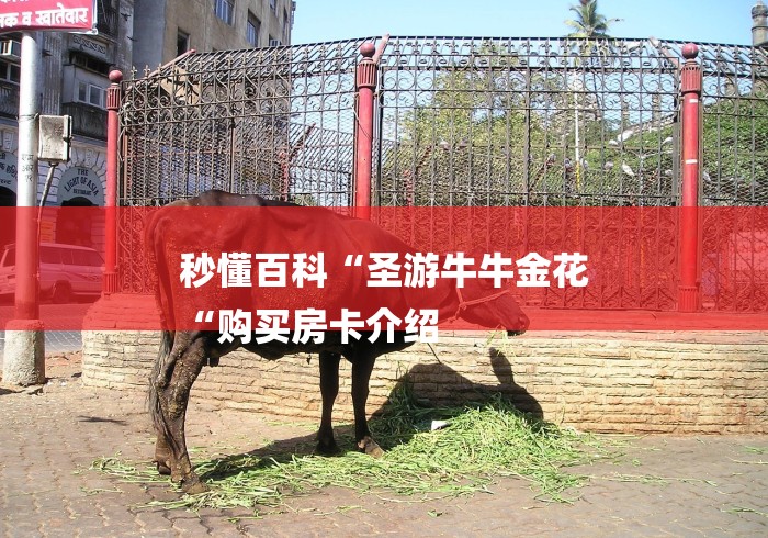 秒懂百科“圣游牛牛金花
“购买房卡介绍