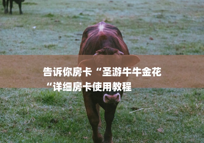 告诉你房卡“圣游牛牛金花
“详细房卡使用教程 告诉你房卡“圣游牛牛金花
“详细房卡使用教程