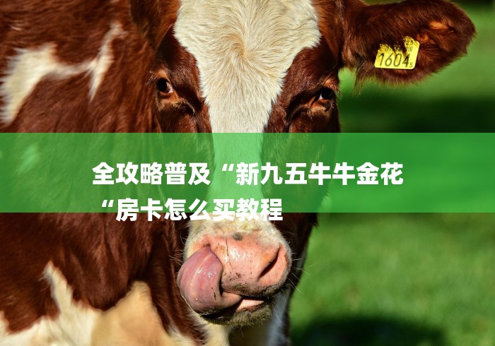 全攻略普及“新九五牛牛金花
“房卡怎么买教程 全攻略普及“新九五牛牛金花
“房卡怎么买教程