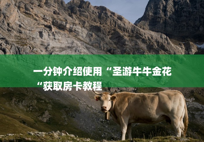 一分钟介绍使用“圣游牛牛金花
“获取房卡教程