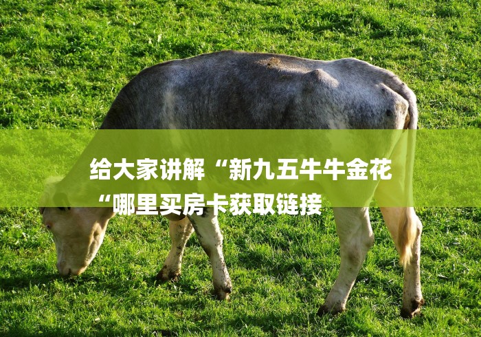 给大家讲解“新九五牛牛金花
“哪里买房卡获取链接 给大家讲解“新九五牛牛金花
“哪里买房卡获取链接