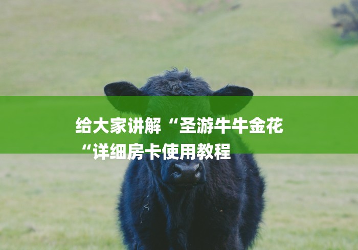 给大家讲解“圣游牛牛金花
“详细房卡使用教程