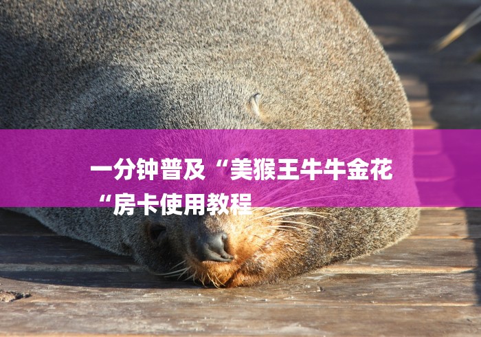 一分钟普及“美猴王牛牛金花
“房卡使用教程 一分钟普及“美猴王牛牛金花
“房卡使用教程