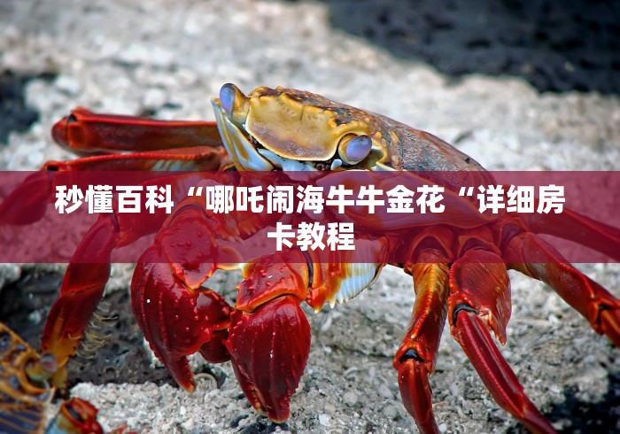 秒懂百科“哪吒闹海牛牛金花“详细房卡教程