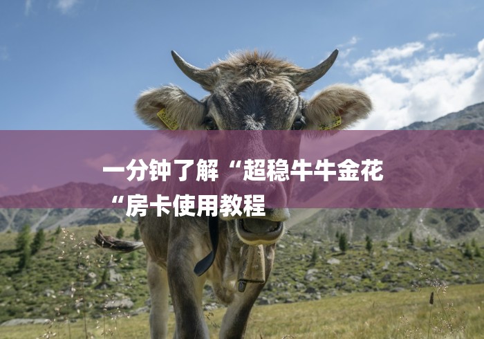 一分钟了解“超稳牛牛金花
“房卡使用教程 一分钟了解“超稳牛牛金花
“房卡使用教程