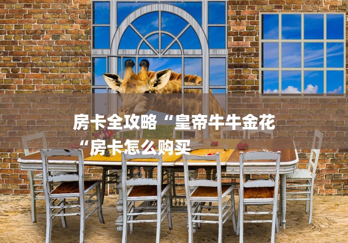 房卡全攻略“皇帝牛牛金花
“房卡怎么购买 房卡全攻略“皇帝牛牛金花
“房卡怎么购买