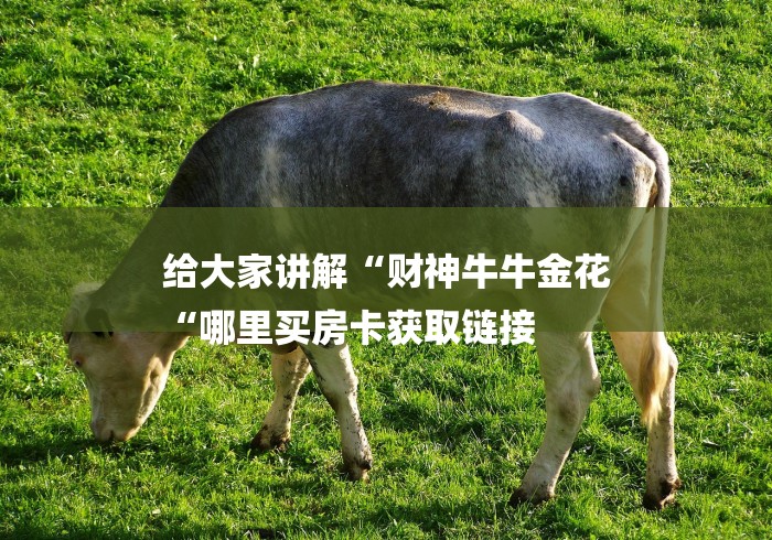 给大家讲解“财神牛牛金花
“哪里买房卡获取链接 给大家讲解“财神牛牛金花
“哪里买房卡获取链接