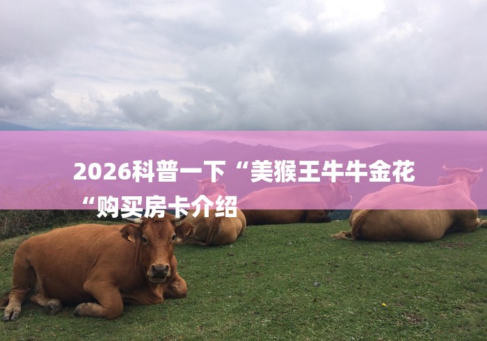 2026科普一下“美猴王牛牛金花
“购买房卡介绍