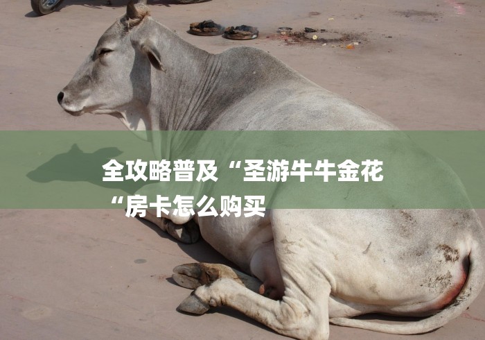 全攻略普及“圣游牛牛金花
“房卡怎么购买