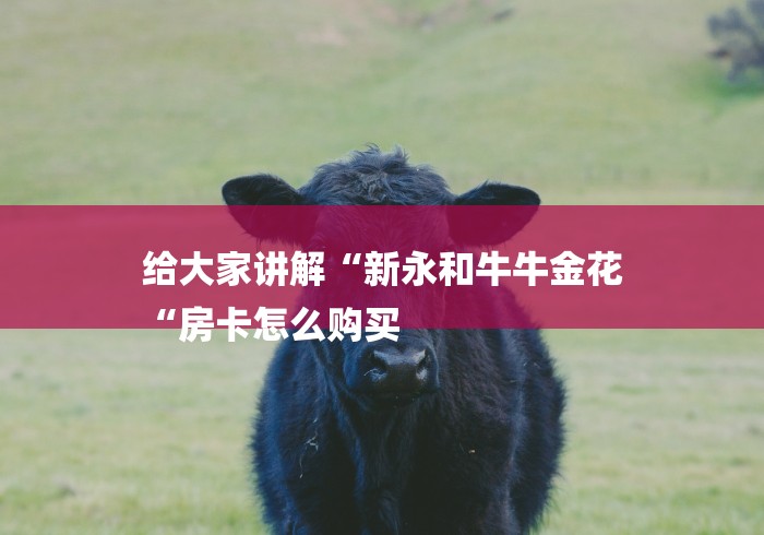 给大家讲解“新永和牛牛金花
“房卡怎么购买