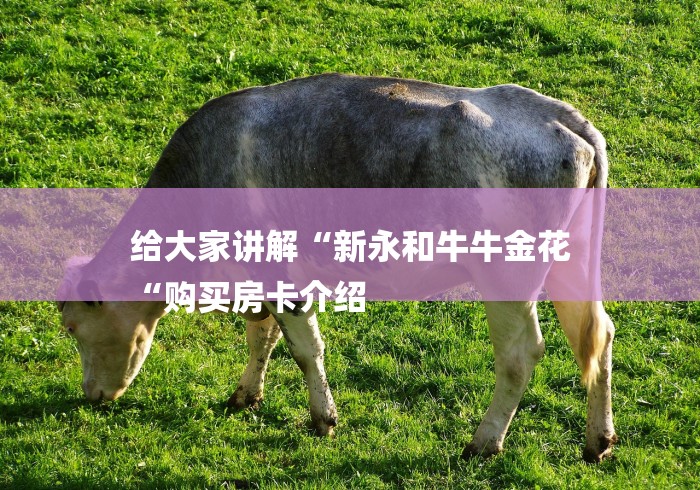 给大家讲解“新永和牛牛金花
“购买房卡介绍 给大家讲解“新永和牛牛金花
“购买房卡介绍